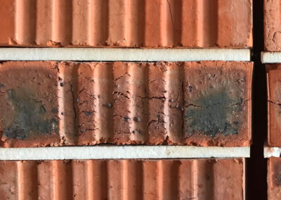 Plaster NFX Perforated